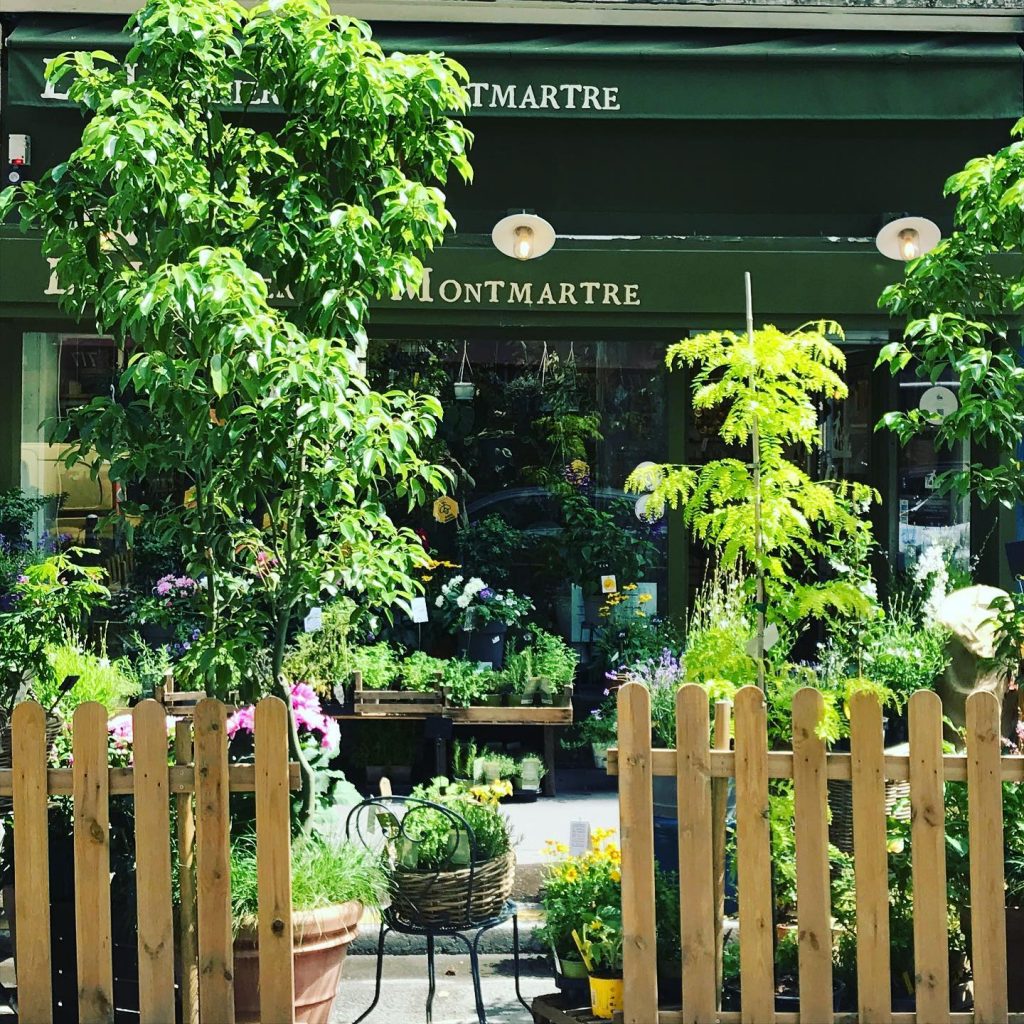Jardinerie urbaine et jardinerie XXL , comment choisir ?