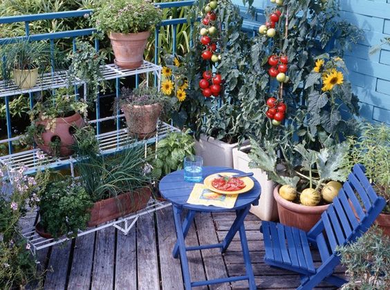 Faire son propre potager urbain