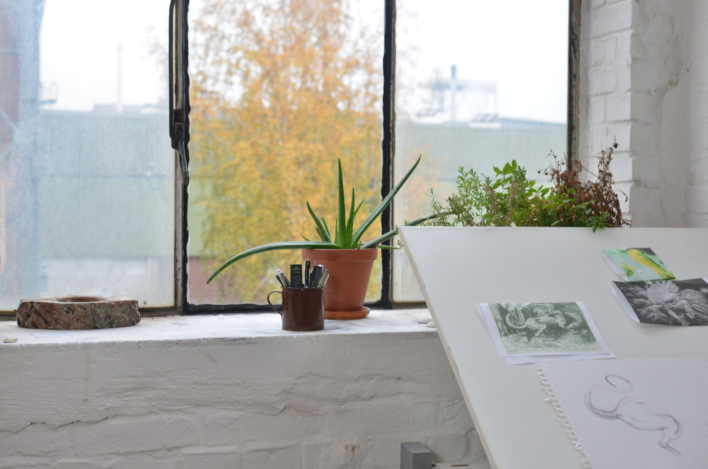 Offrir des Plantes : Une Idée de Cadeau d'Entreprise Écologique et innovante