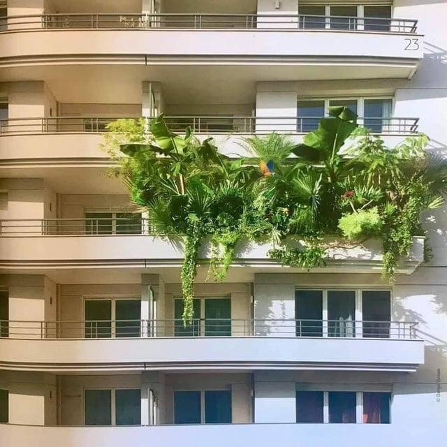 Plantes et Architecture Moderne