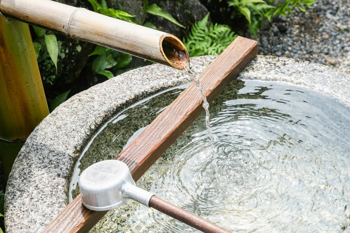 Les Récupérateurs d'Eau de pluie: Un Indispensable pour Jardins, Balcons et Terrasses