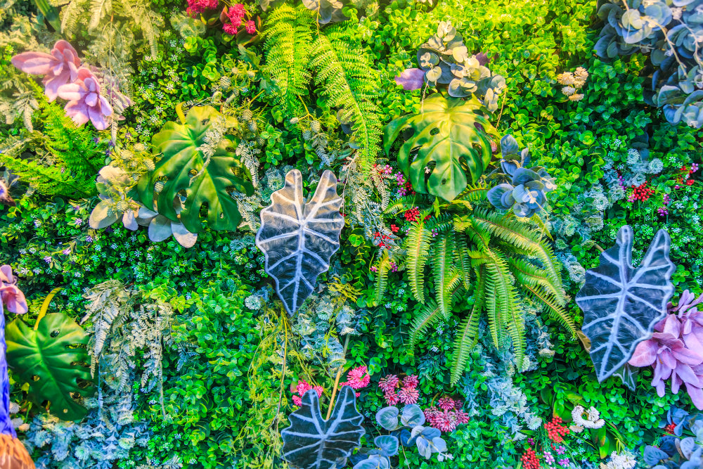 Mur végétalisé exterieur, quelles plantes choisir ?