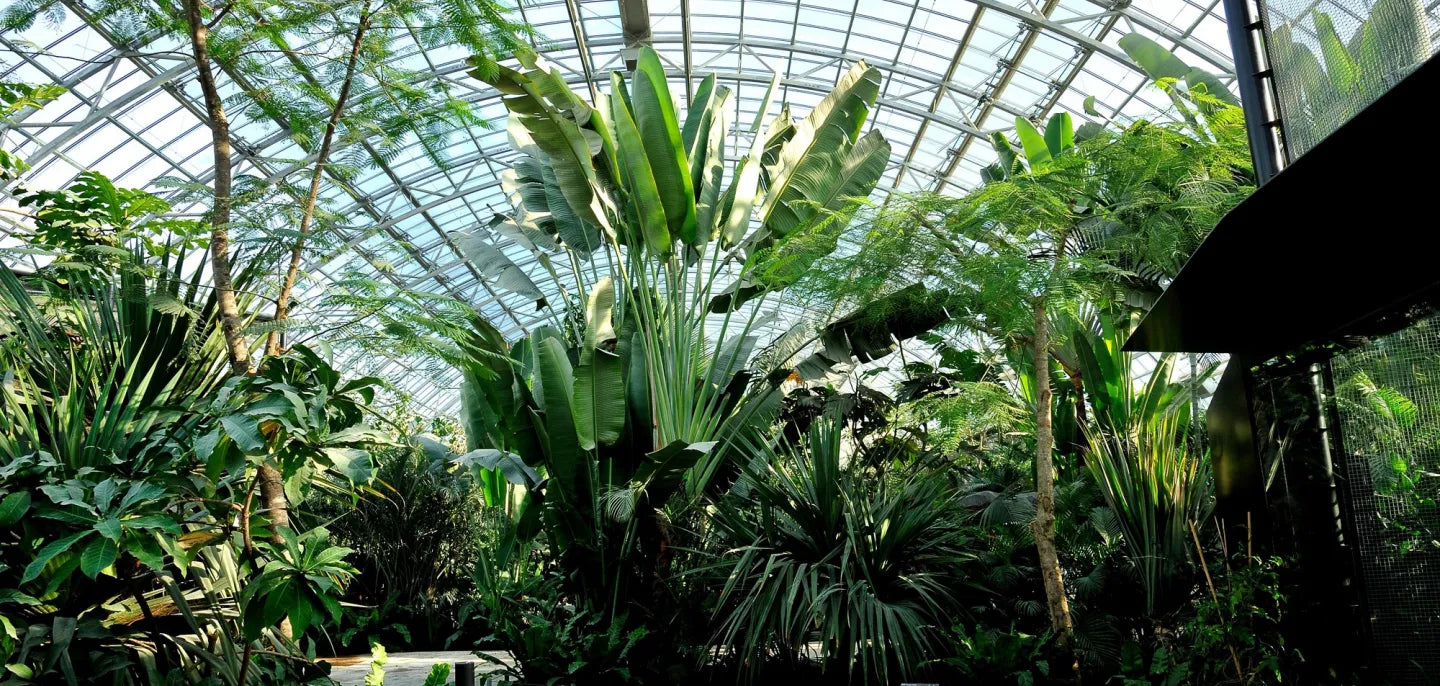 Muséum national d’Histoire naturelle de Paris : une collaboration d’exception NATURA