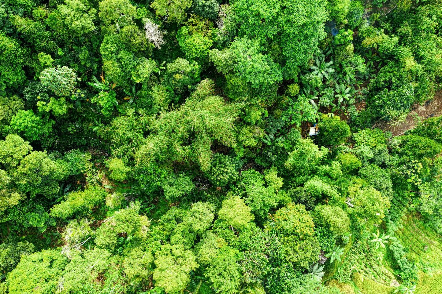 Nos partenaires et notre engagement pour la planète : avec la fondation Work With Nature