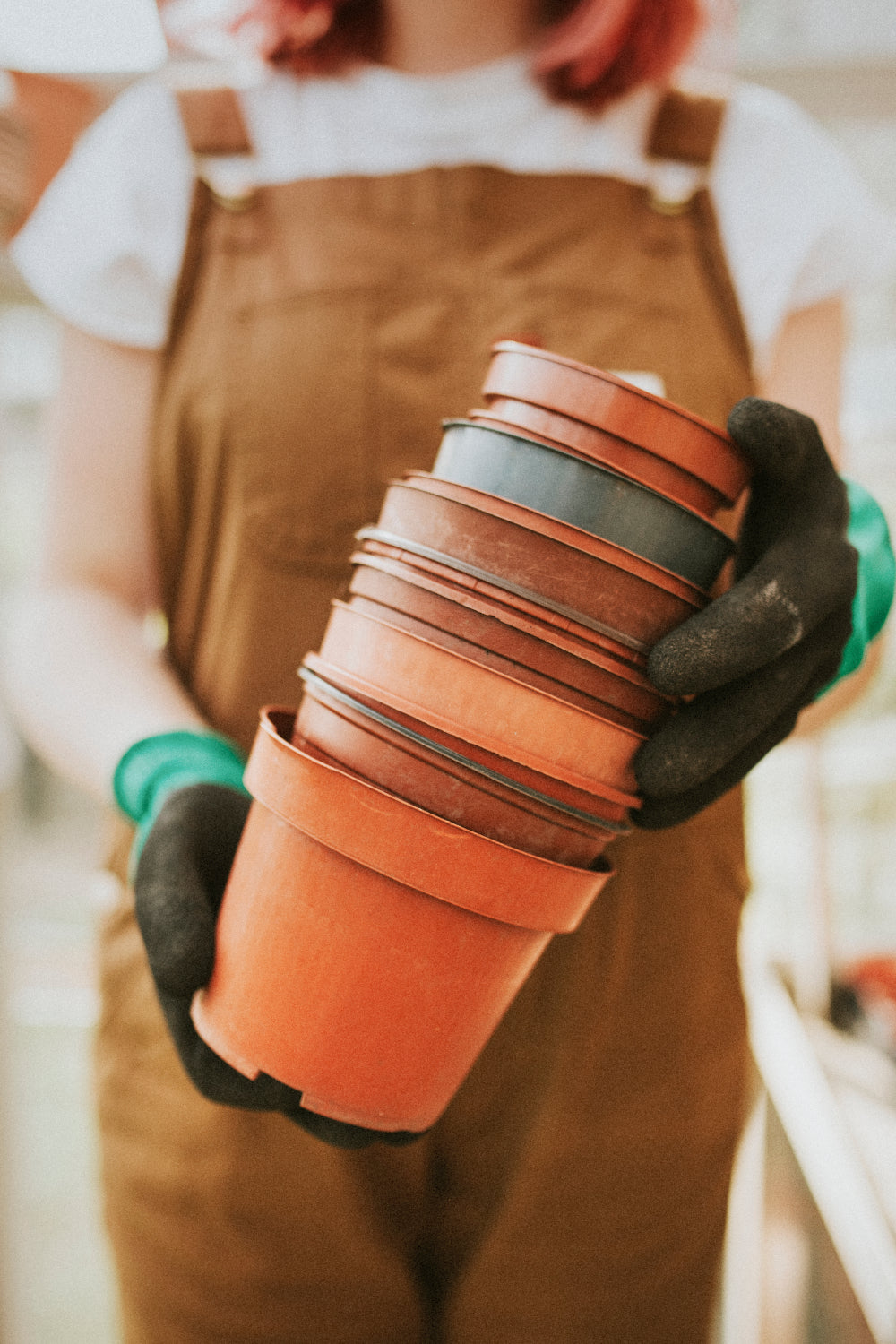 Choisir la Bonne Taille de Pot pour Vos Plantes : Guide Complet
