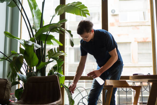 Location de plantes et solutions tout compris pour les entreprises : Le guide complet