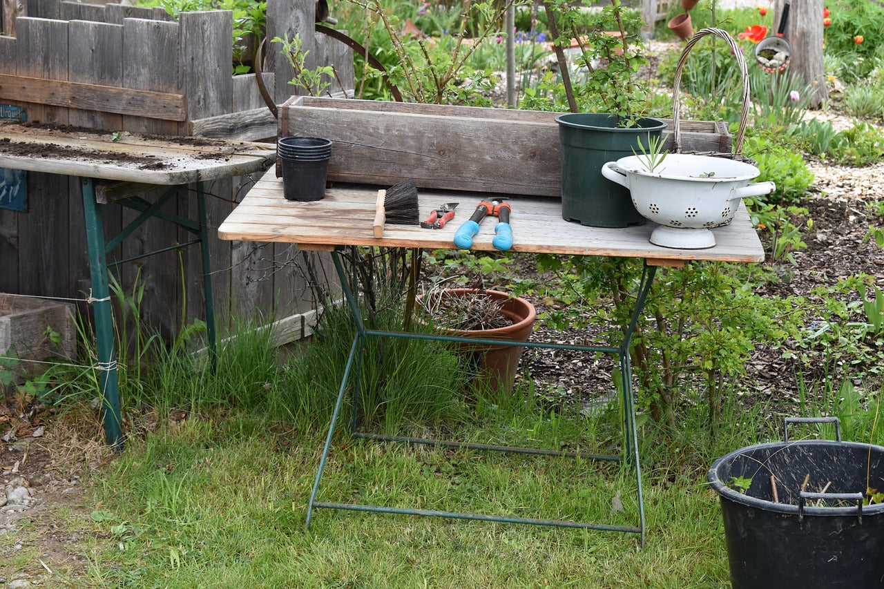 Que faire au jardin en mars ?