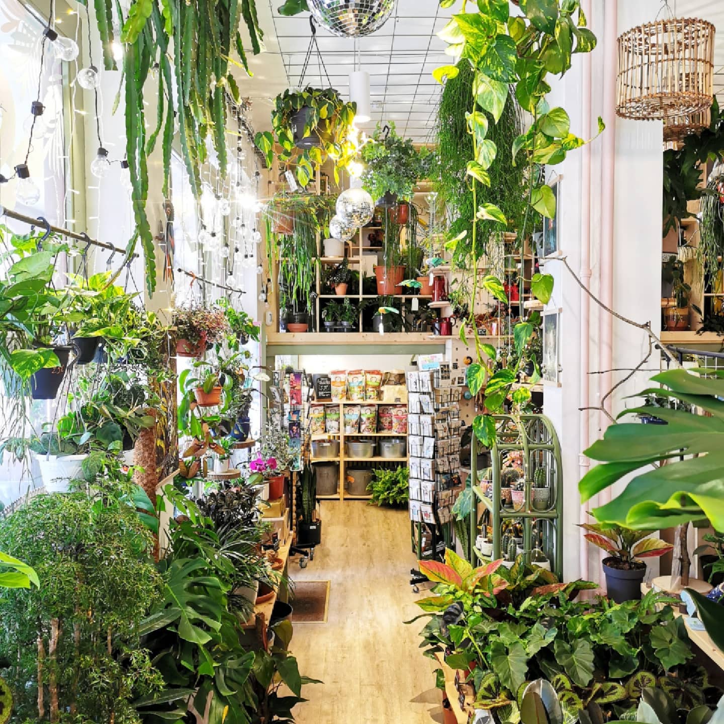 Une nouvelle Jardinerie à Béziers "Jardinerie Natura"