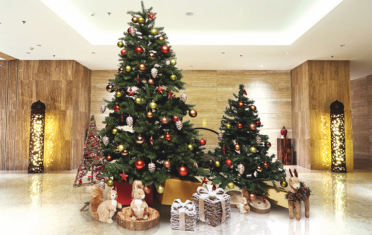 Professionnels Natura Béziers livre et installe votre Sapin de Noël Nornann