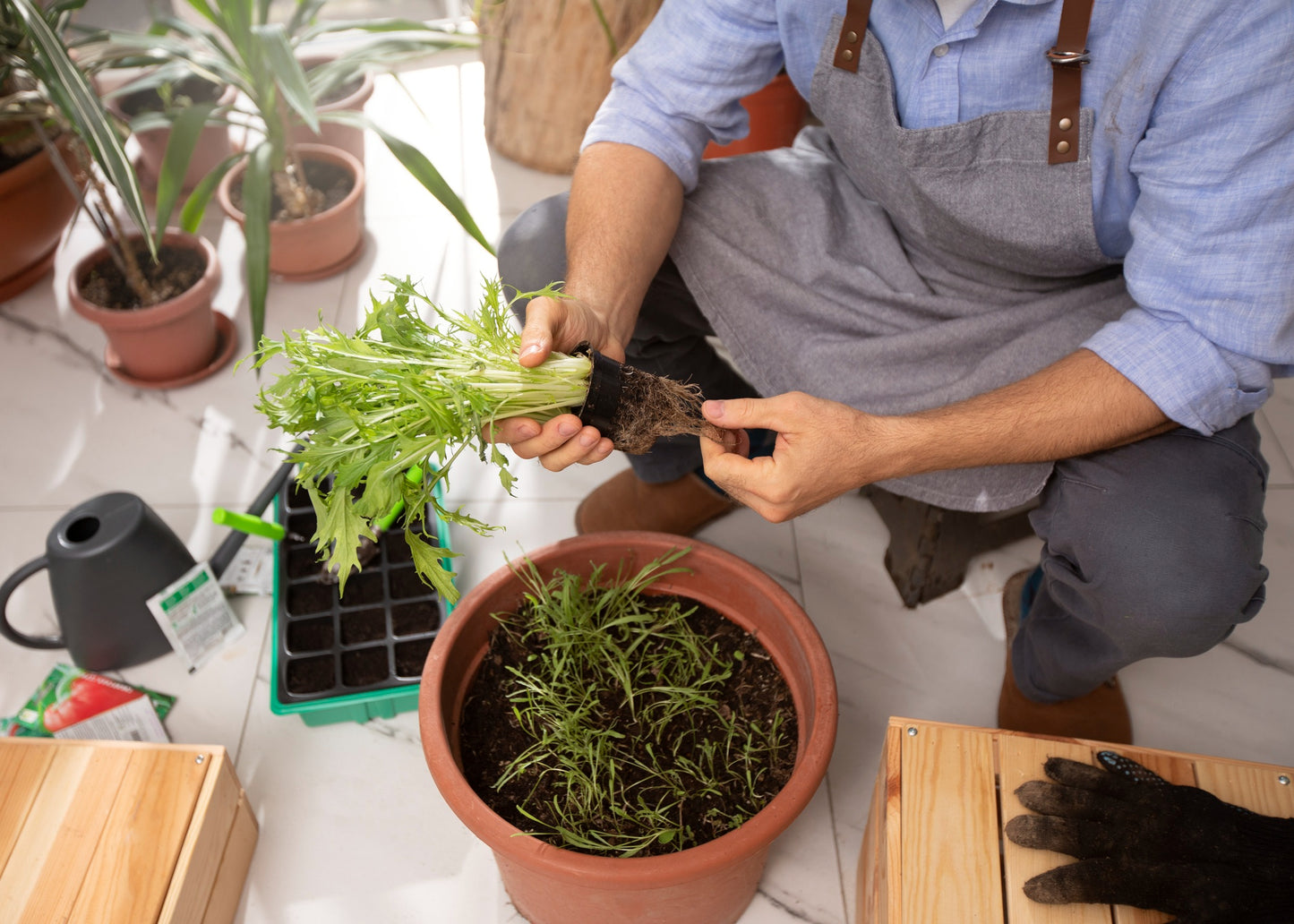 Guide Pratique pour le Rempotage de vos Plantes NATURA