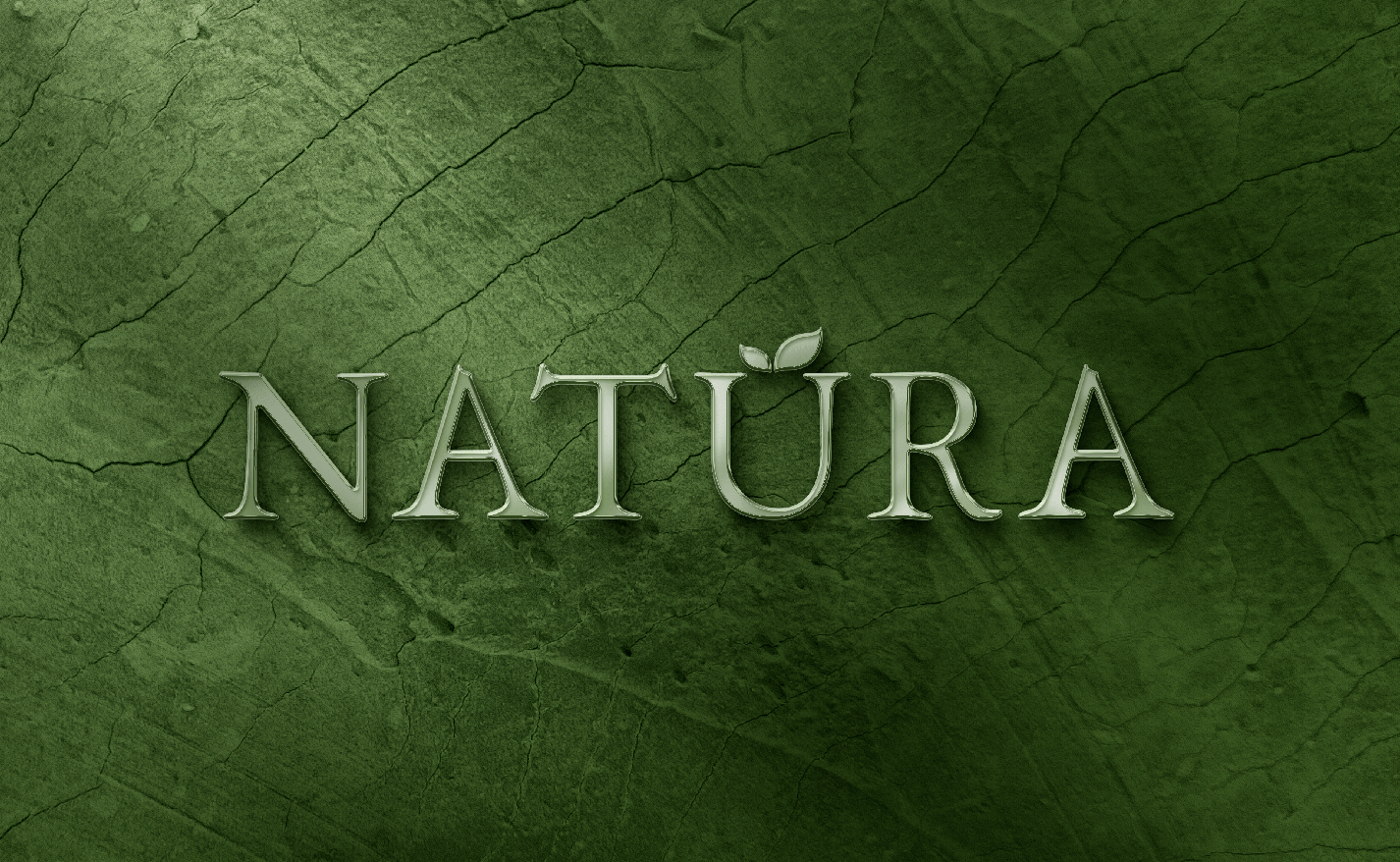 NATURA, Plantes & Aménagements Végétal