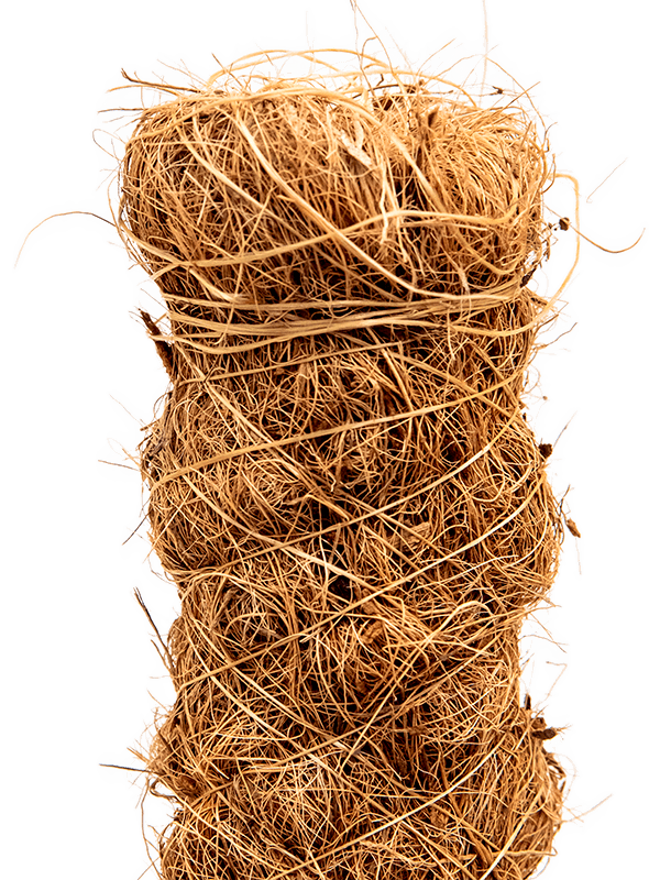 Tuteur en fibre de coco naturelle.