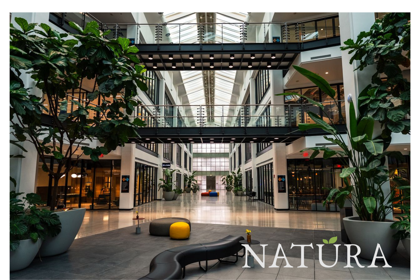 Agence végétale à Montpellier : NATURA accompagne vos projets de végétalisation de bureaux