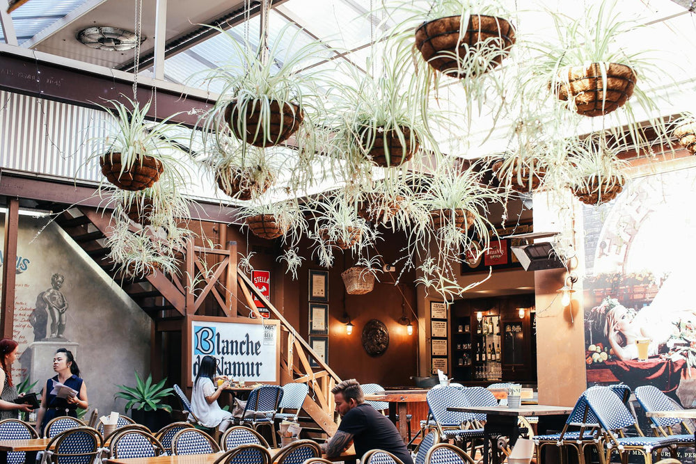 Décoration végetale, NATURA des solutions dédiées aux décorateurs d’intérieur