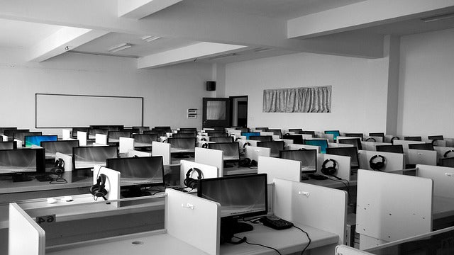 8 raisons de végétaliser votre entreprise