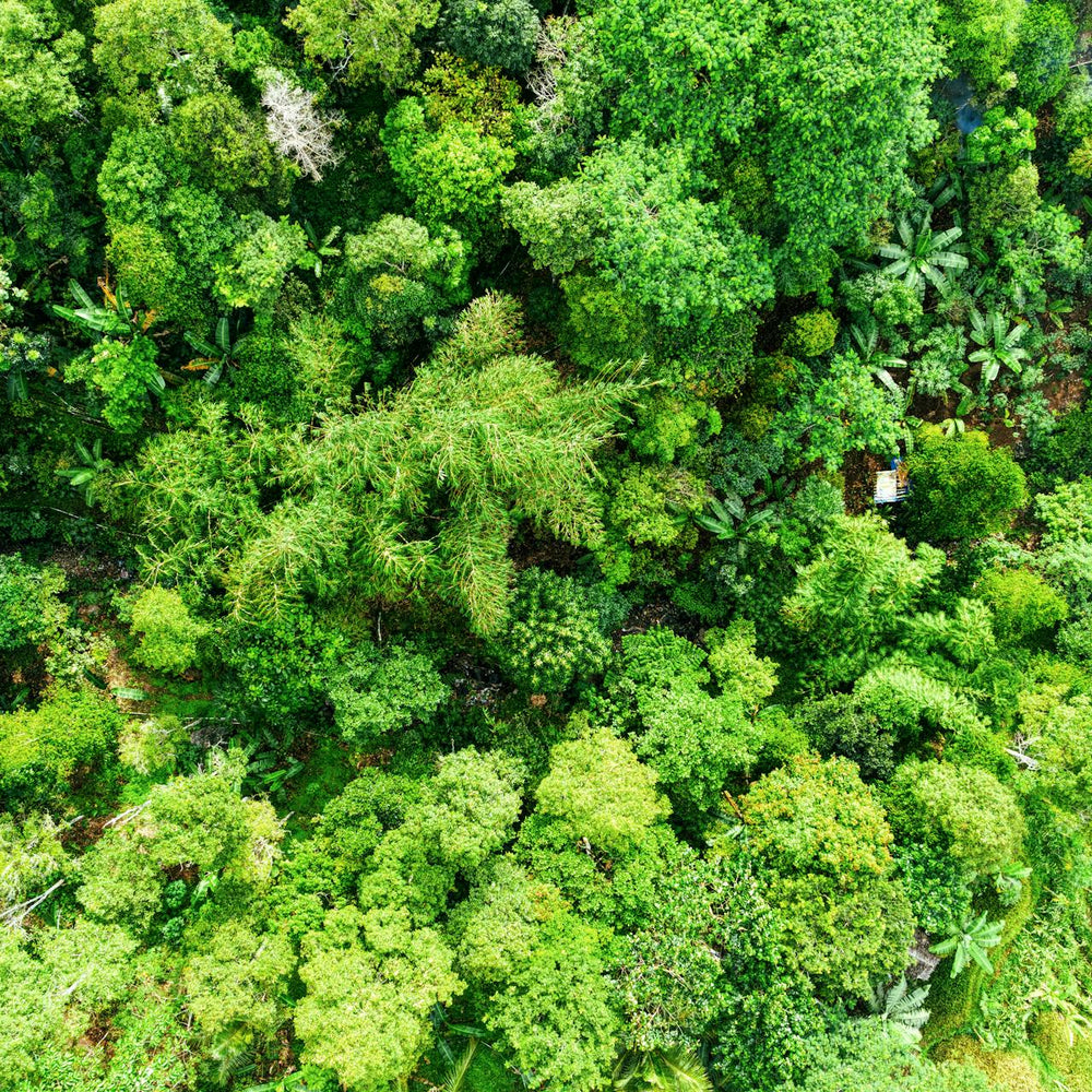 Nos partenaires et notre engagement pour la planète : avec la fondation Work With Nature
