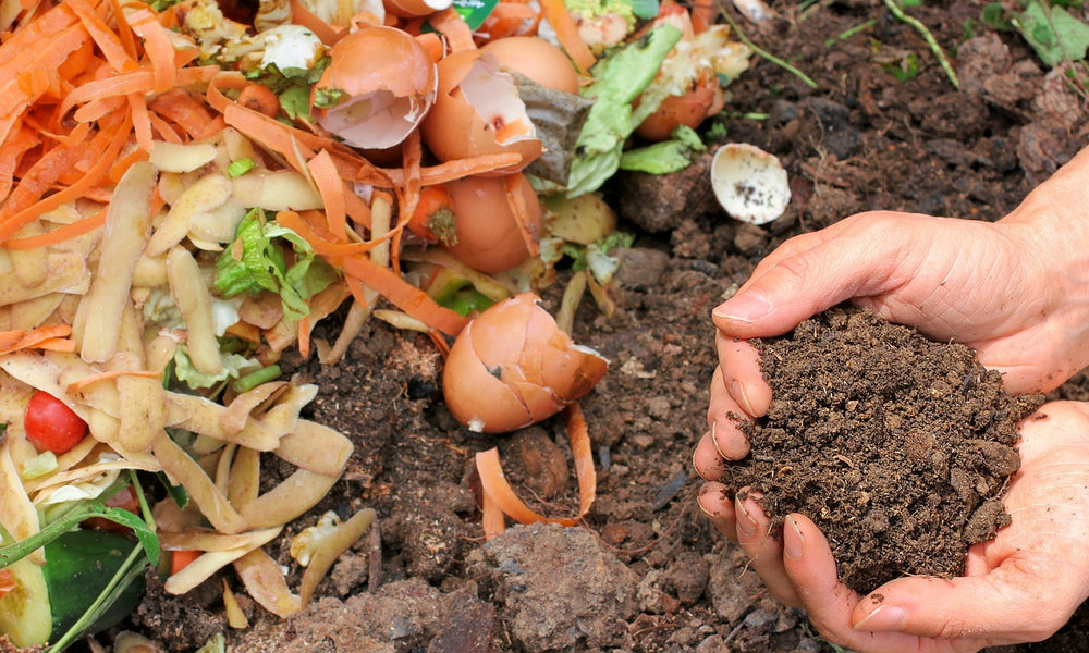 Tout savoir sur le compost