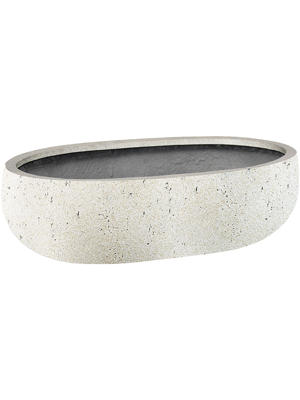 
                  
                    Grigio Longtail Antique White, hauteur 15 cm – 6DLIA1623
                  
                