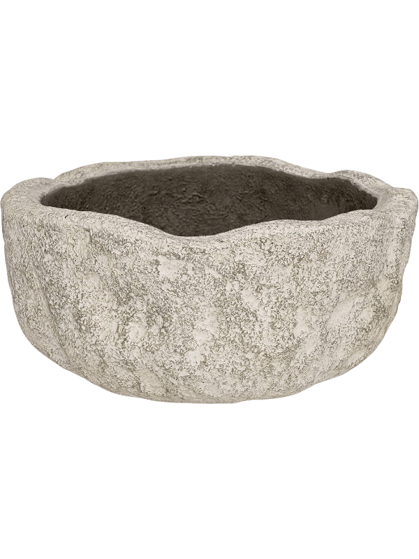 
                  
                    Pot bas Limestone Dune M Sable Fossil Sand – 6LIMEDS02
                  
                