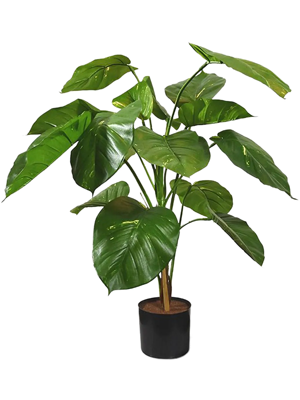 
                  
                    Pothos artificiel Deluxe de 90 cm, feuillage vert panaché et pot de base noir
                  
                