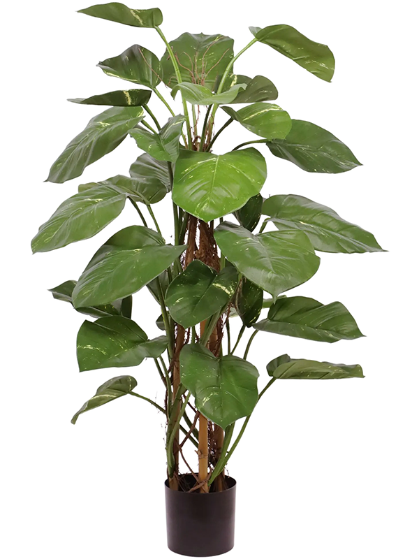 
                  
                    Pothos artificiel Deluxe de 125 cm, port grimpant et larges feuilles vertes panachées
                  
                
