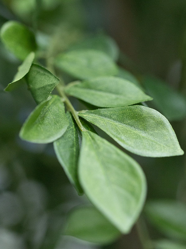 
                  
                    Détail des petites feuilles ovales du Murraya artificiel Deluxe
                  
                