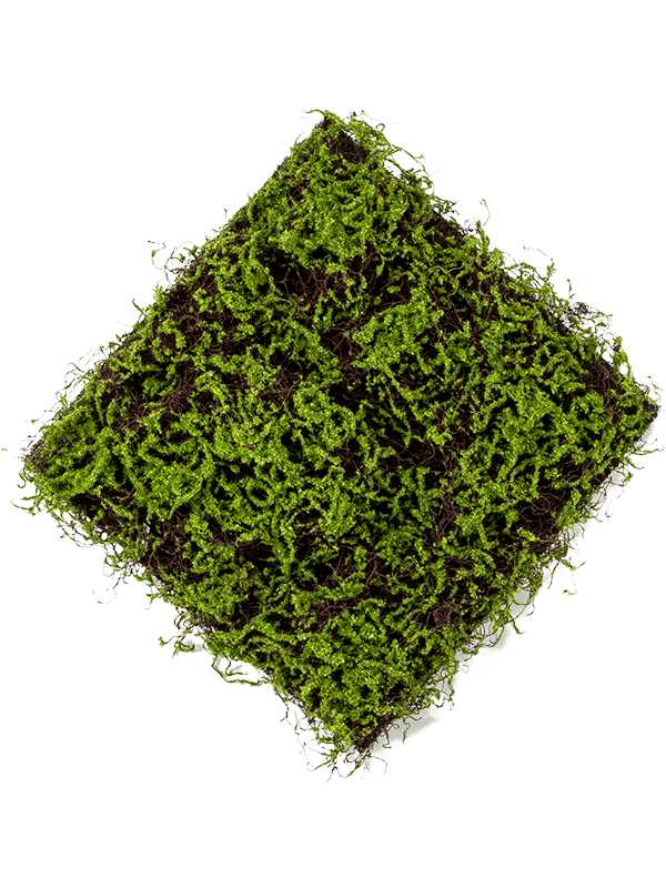
                  
                    Tapis végétal artificiel Grass vert et brun 50 × 50 cm — lot de 8
                  
                