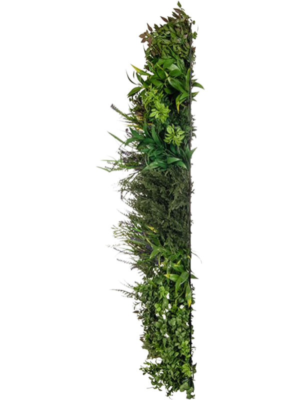 
                  
                    Panneau végétal artificiel Greenwall Chatton Mix UV et ignifuge — détail du feuillage
                  
                