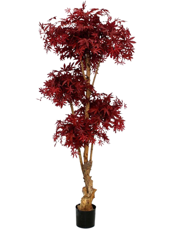
                  
                    Acer bonsai artificiel
                  
                