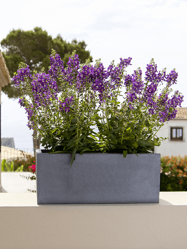 
                  
                    Balconniere Fiberstone
                  
                