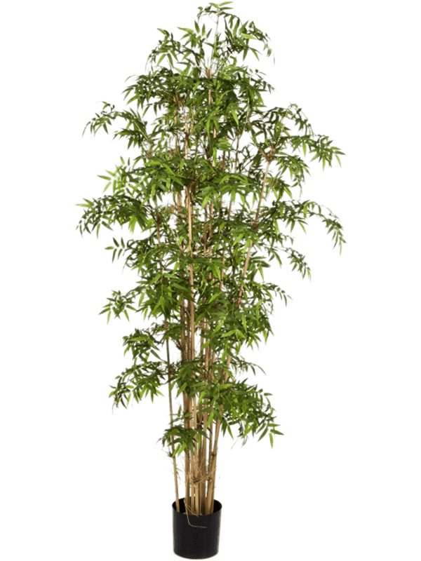 Bambou japonais Artificiel