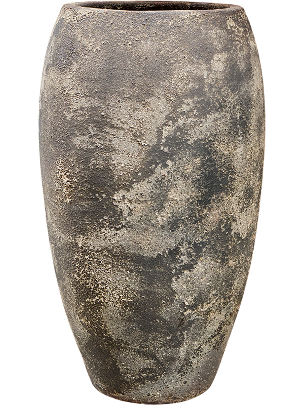 Baq Sandora Emperor