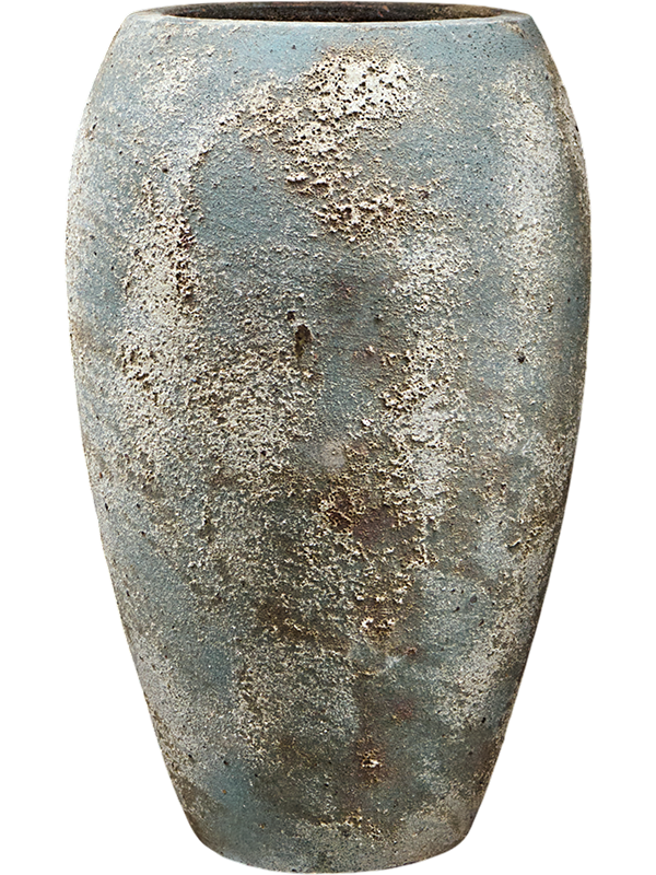 
                  
                    Baq Sandora Emperor
                  
                