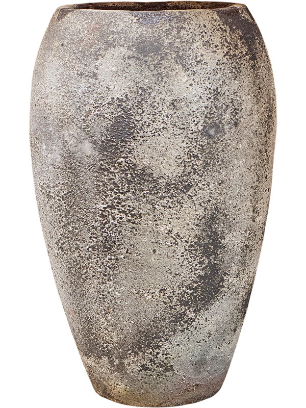 
                  
                    Baq Sandora Emperor
                  
                
