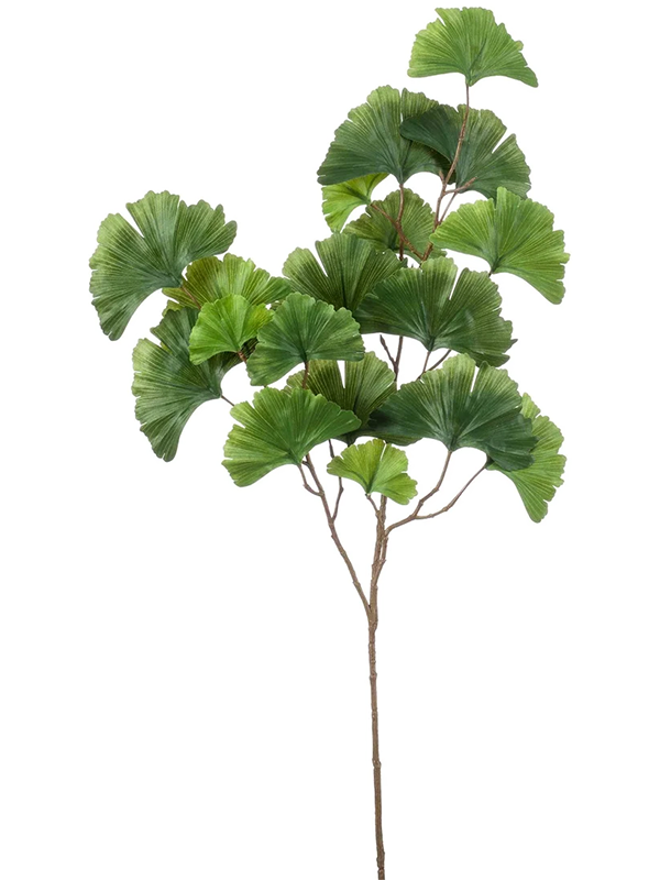 Branche de Ginkgo biloba artificielle