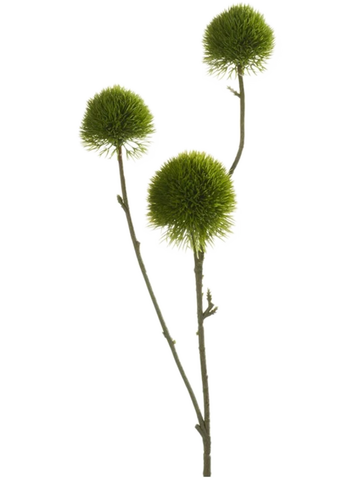 Dianthus artificiel vert