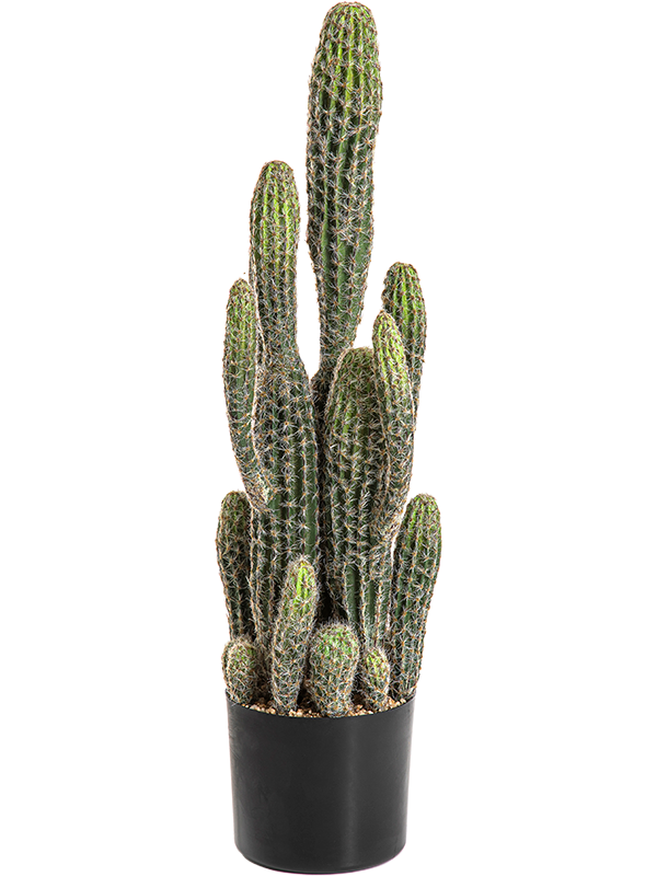 
                  
                    Colonne Cactus artificiel
                  
                