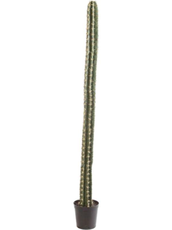 
                  
                    Colonne Cactus artificiel
                  
                