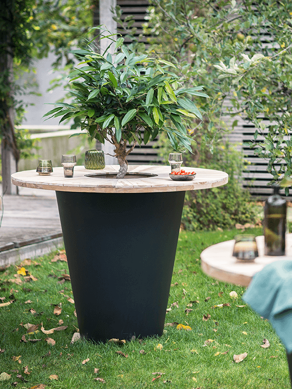 
                  
                    Otium Olla Table Herba
                  
                
