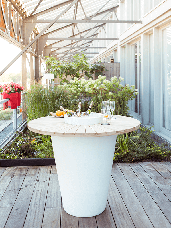 
                  
                    Otium Olla Table Herba
                  
                