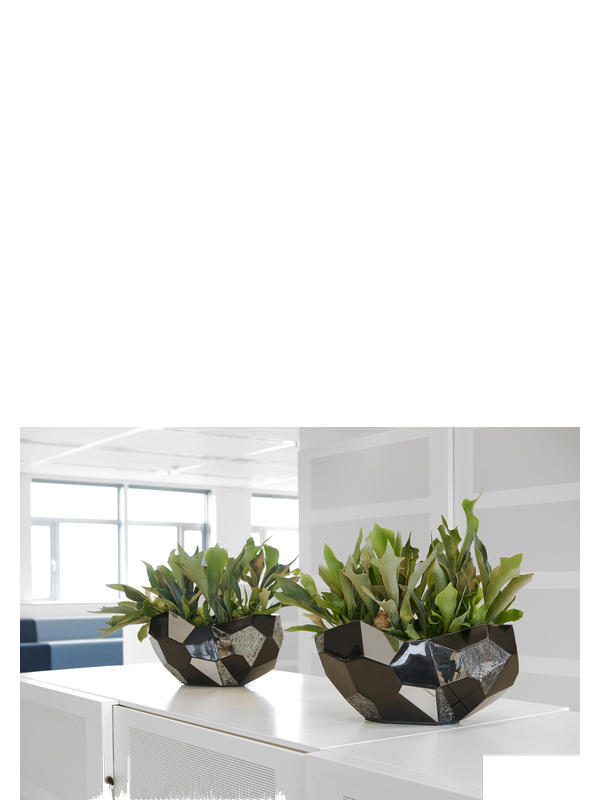 
                  
                    Vase Alabat ovale
                  
                