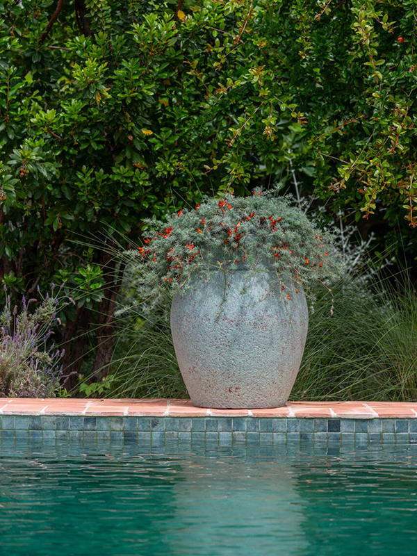 
                  
                    Pot Mediterranean Apollo
                  
                