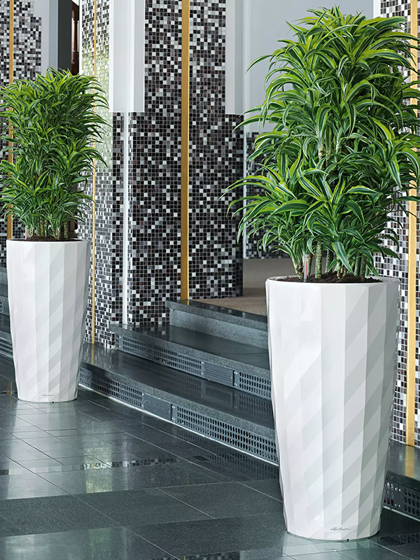 
                  
                    Pot haut Lechuza Diamante Premium
                  
                