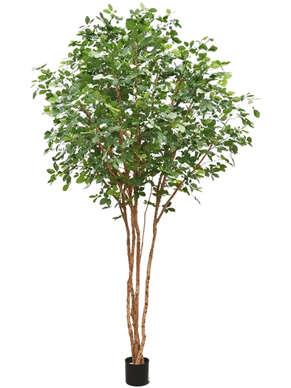 Fagus Sylvatica artificiel