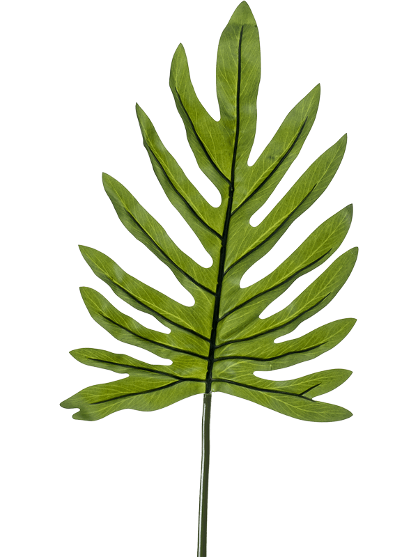 feuille philodendron Feuille Philodendron Artificiel