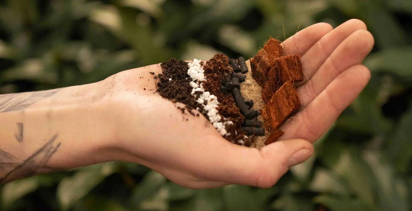 
                  
                    Substrat spécial Ficus
                  
                