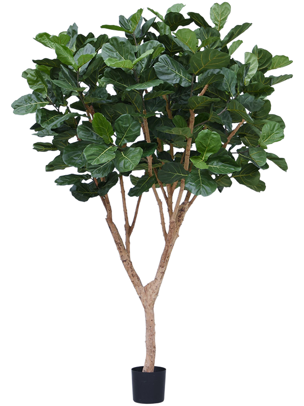 
                  
                    Ficus lyrata artificiel
                  
                