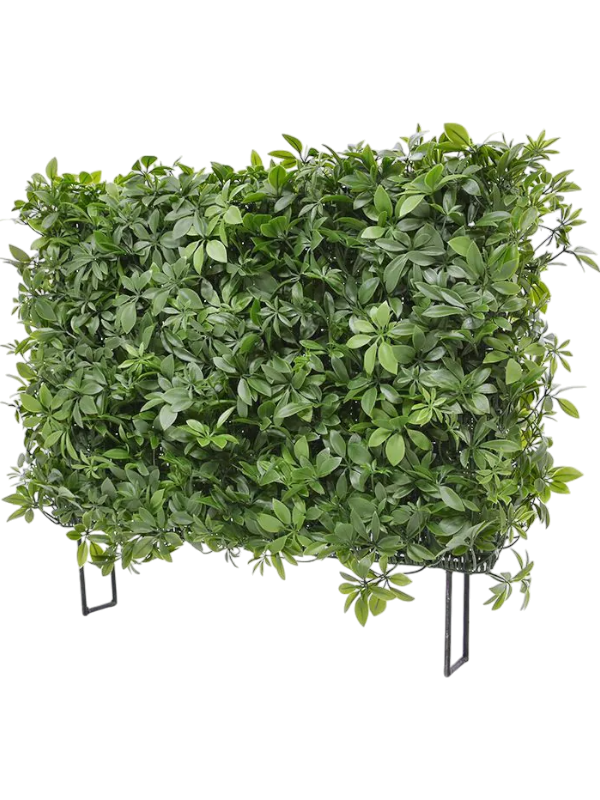 Haie de schefflera Artificielle