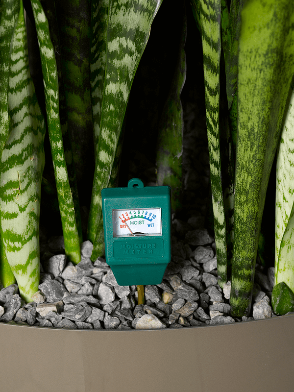 Acheter Hygrom tre Pour Plantes Soin Plante Jardinerie Natura B ziers acheter-hygrom-tre-pour-plantes-soin-plante-jardinerie-natura-b-ziers