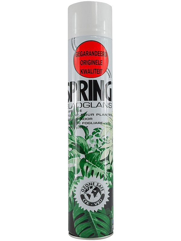 Insecticide Et Brillant Plante